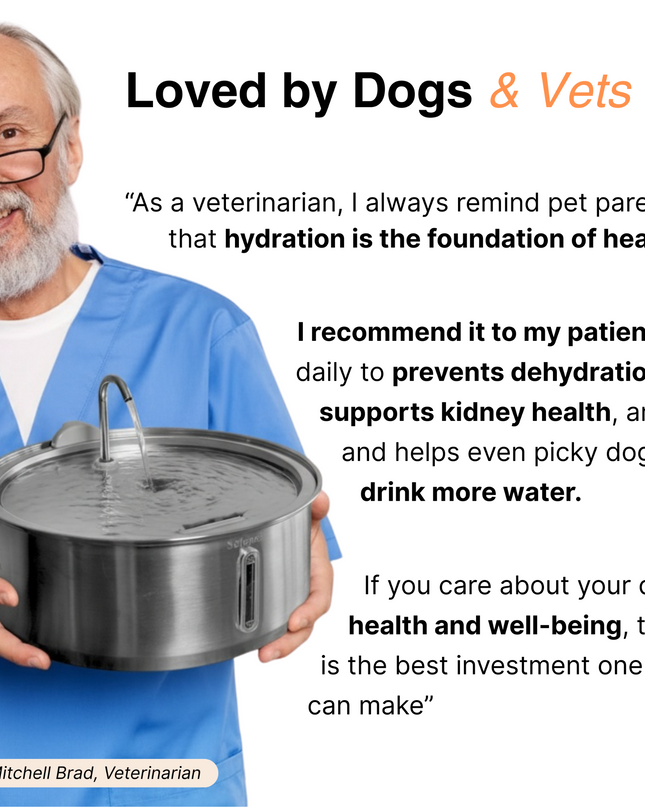 Pet Water Fountain