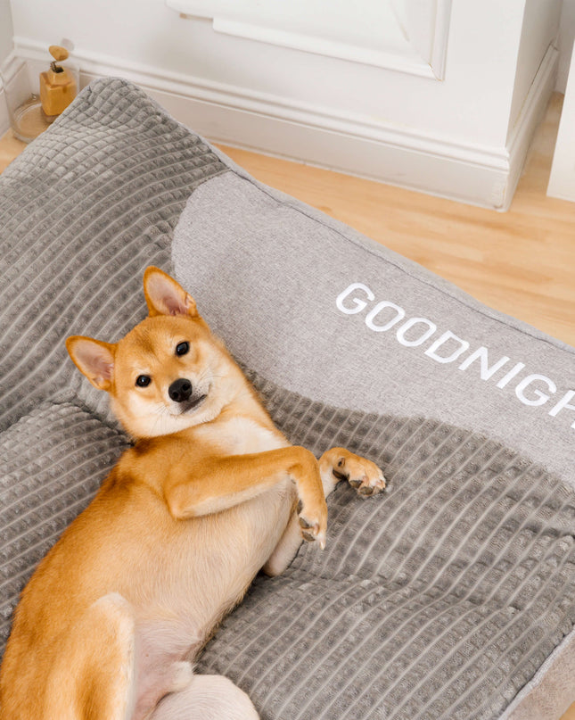 Scratch-resistant Dog Bed