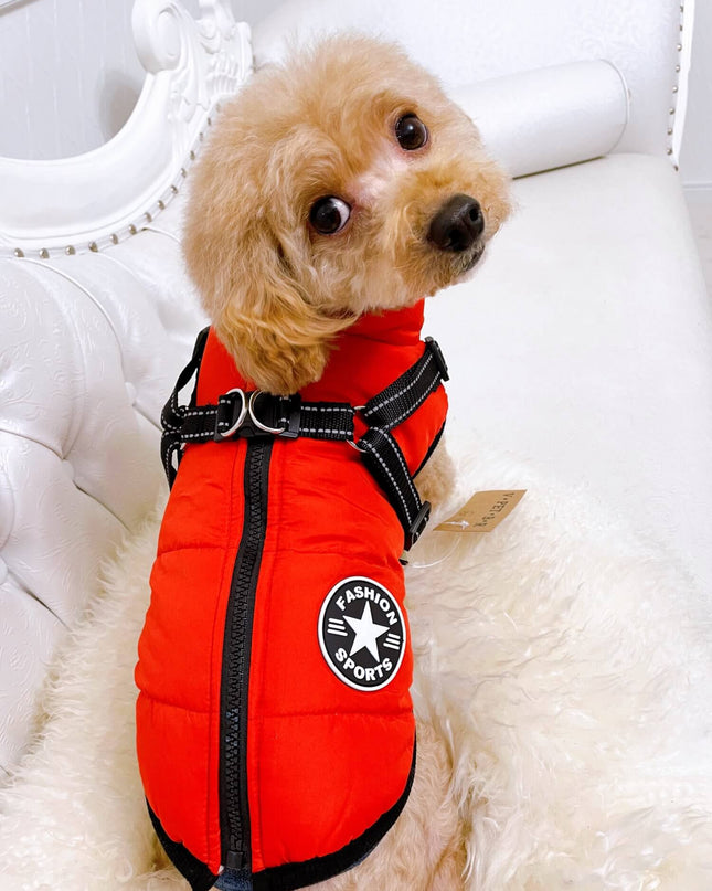Waterproof Dog Jacket With Harness