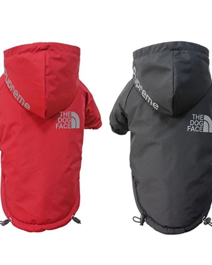 Dog Coat - The Dog Face