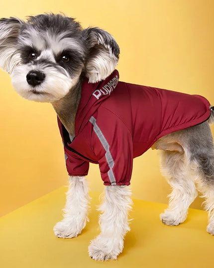 Dog Coat - The Dog Face