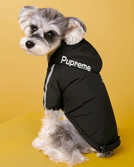 Dog Coat - The Dog Face