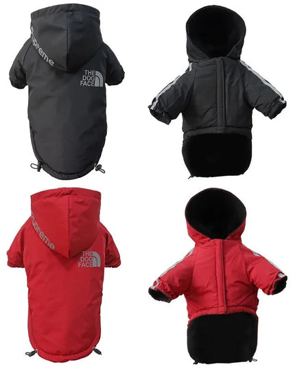 Dog Coat - The Dog Face